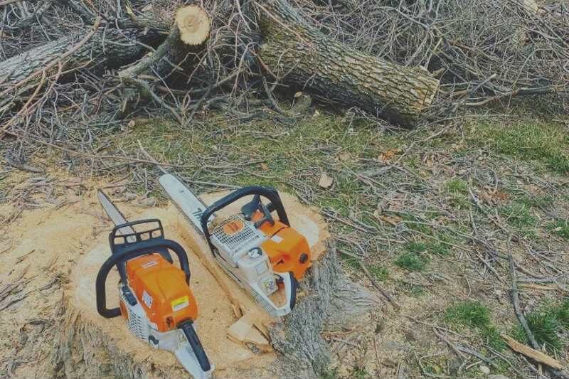 Best Chainsaws For Stump Removal