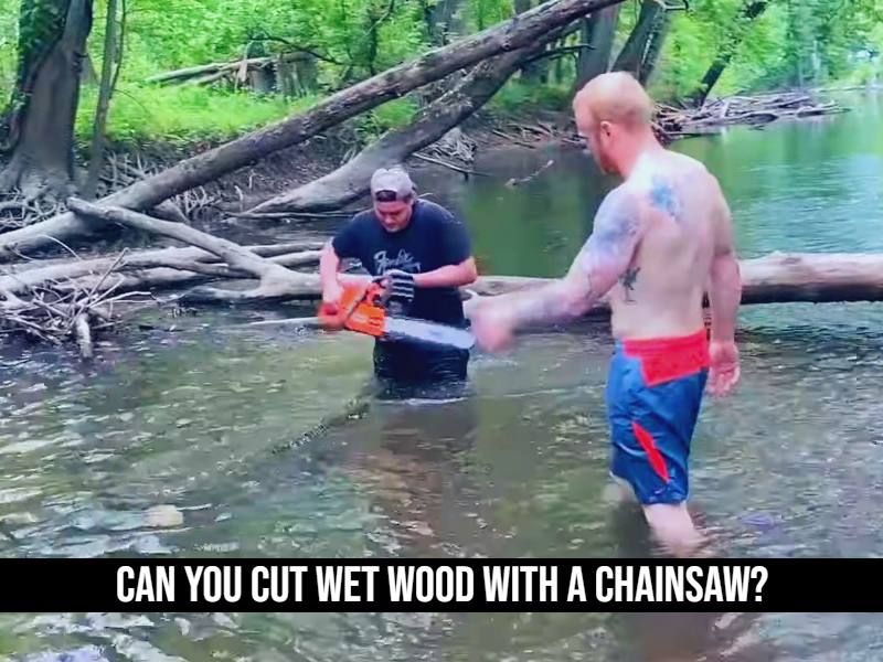 Can You Cut Wet Wood With A Chainsaw?