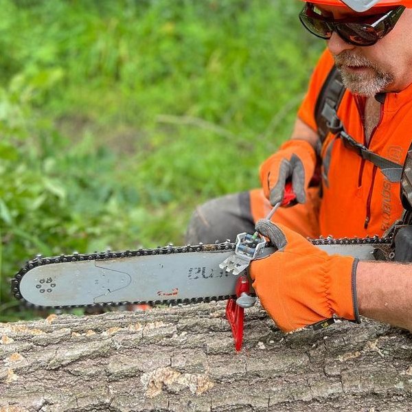 A safety chain is a critical safety component of a chainsaw. 