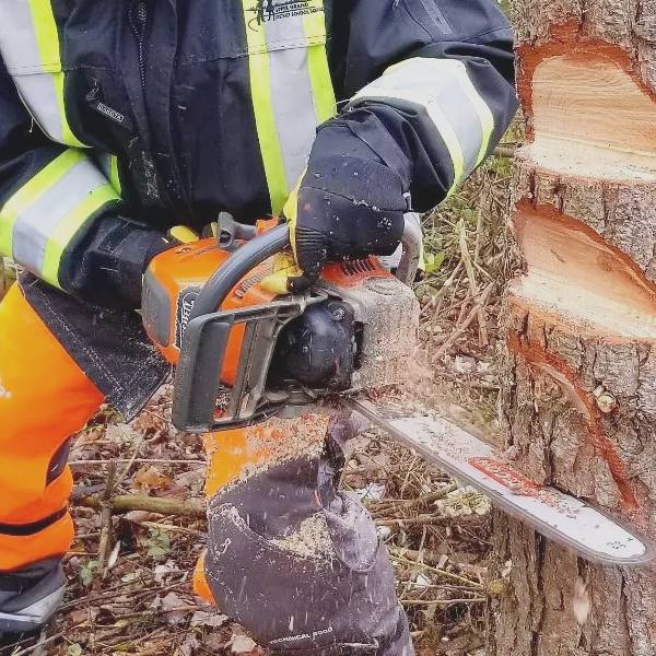Hand Protection From Chainsaw