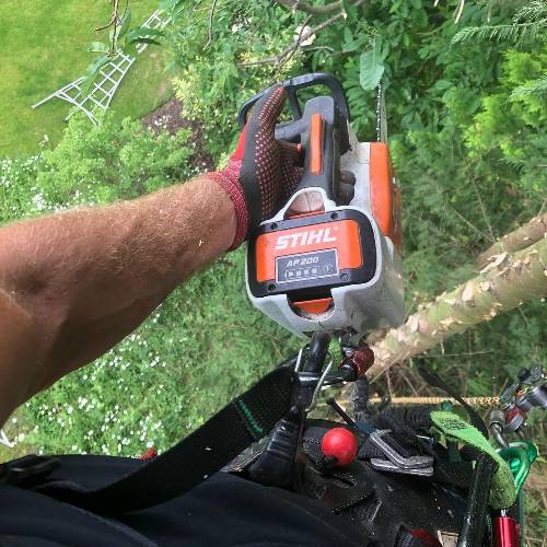 Electric Chainsaws use for trimming trees