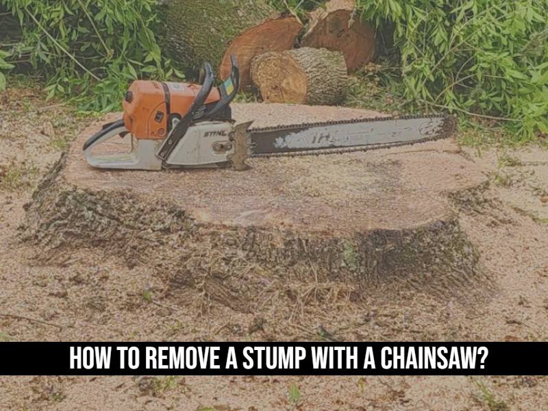 How To Remove A Stump With A Chainsaw?