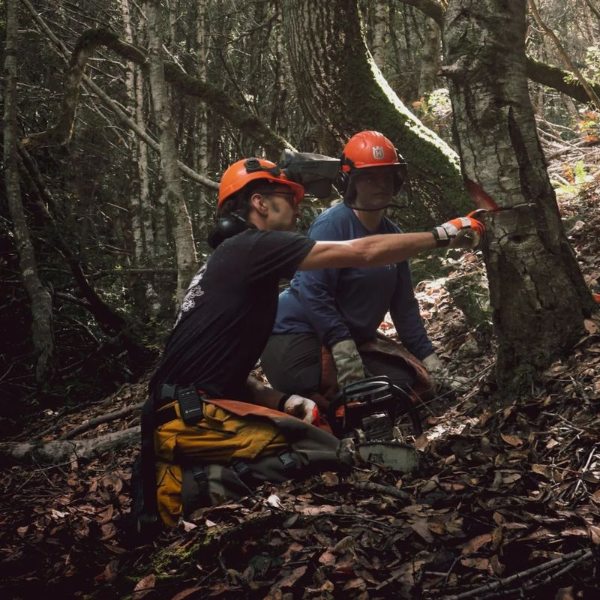 How to learn to use a chainsaw safely?