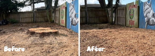 stump removal - Before and After